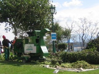 JARDINERIA (56)  CAMPO ESPAMICA